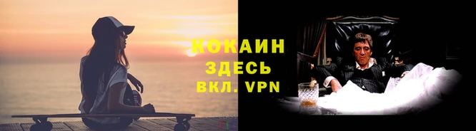 spice Алексин